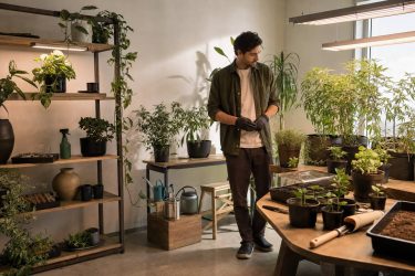 GB The Green Brand: opiniones sobre sus productos de cultivo y por qué es una marca tan elegida GB The Green Brand: opiniones sobre sus productos de cultivo y por qué es una marca tan elegida